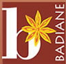 Logo Badiane Promotions